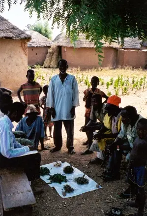 farmerchoiceghana